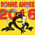 HAPPY NEW ANNEE